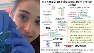 How a NanoDrop works [upl. by Scheck855]