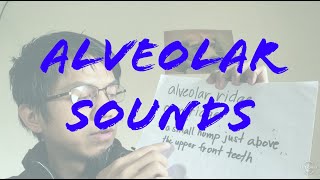 Alveolar Sounds [upl. by Rekoob]