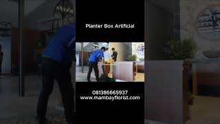 Planter box artificial dekorasi home artificialplant plants planterbox restaurantdecor [upl. by Ymmak]