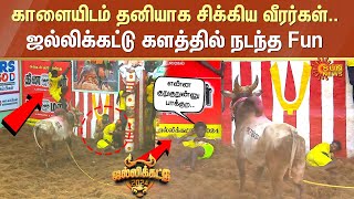 Alanganallur Jallikattu களத்தில் நடந்த Fun  காளையிடம் தனியாக சிக்கிய வீரர்கள்  Sun News [upl. by Noreg33]