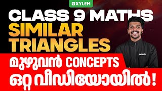 Class 9 Maths  Similar Triangles  മുഴുവൻ Concepts ഒറ്റ വീഡിയോയിൽ   Xylem Class 9 [upl. by Griffiths354]