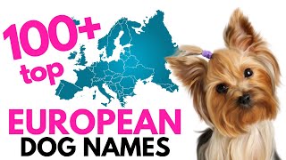 Top 100 EUROPEAN Dog names– Unique Dog Names [upl. by Natasha]