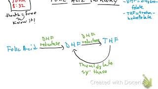 Folic acid pathway [upl. by Hcnarb]