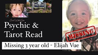 Psychic Read Missing ELIJAH VUE  only 3 yrs old description box outlines details [upl. by Lutero]