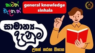 Danuma  vishwa danuma youtube 🧠 wishwa danuma sinhala danuma [upl. by Mckay307]