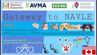 Gateway to NAVLE Webinar Part 1 Complete Guidance on NAVLE IELTSBCSE ECFVG AVMA CVMA Urdu\Hindi [upl. by Hsirt]