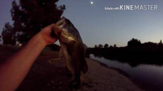 CALIBASSKID TV Vlog 12 Fishing With A Plan [upl. by Keefer]