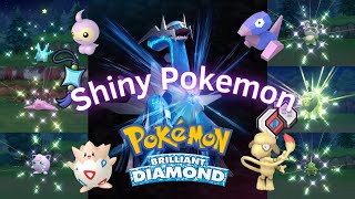 ALL MY FAVORITE SHINY POKEMON IN BRILLIANT DIAMOND [upl. by Buckden]