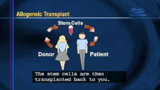 Bone Marrow Transplant Patient Information Chapter 2  Bone Marrow Transplants [upl. by Hastings]