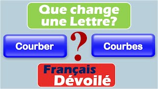 Courber et Courbes Une Lettre [upl. by Aneev]