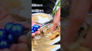 Oysters with blue pearls episode 119 pearlstone funny pearl satisfying [upl. by Ennaegroeg]