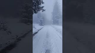 Śnieżne i mgliste Beskidy nature mountains travel hiking winter viralvideo firstsnow [upl. by Hgielsa]