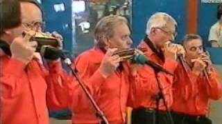 RhythmikHarmonika  Quartett Hildsheim playing Tweedle Dee [upl. by Ynnos]