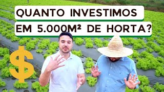 Quanto custa montar uma horta Quanto investimos no sítio Love orgânicos 5000 m² de horta [upl. by Aket]