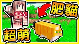 Minecraft 我養了像橘子冰【大肥貓】😂  貓星人發射電波【征服人類】結局超級感人  全字幕 [upl. by Celio64]