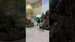 Cool Taipei airport 👍🥰❤️short subscribe funny trending [upl. by Lebasiram]