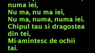 Dragostea Din Tei Lyrics [upl. by Eupheemia536]