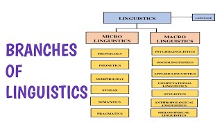 Branches of linguistics in HindiUrdu [upl. by Ettebab]