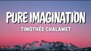 PURE IMAGINATION Lyrics  TIMOTHEE CHALAMET [upl. by Broddie]