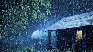 8 Horas Barulho de Chuva para Dormir Profundamente e Relaxar ⛈ [upl. by Nyvets]