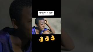 new ethiopian comedy movie 2024 [upl. by Ennael]