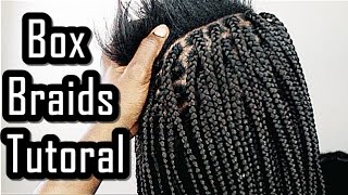 Box Braids Tutorial FOR BEGINNERS FRIENDLY [upl. by Norita]