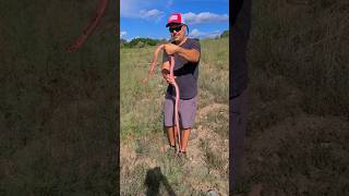 CATCHING SNAKES IN PUBLIC😱💀😂 snake reptiles fishing herping funny shorts [upl. by Lledrac]