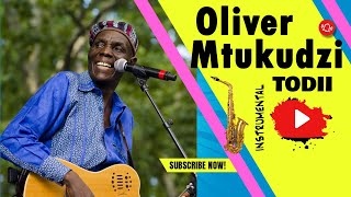 Oliver Mtukudzi  Todii Instrumental Remake [upl. by Ferdinand]