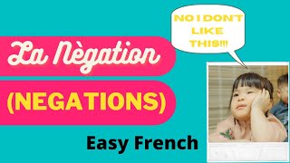 La Nègation Part 1  negative sentences explained in Hindi Lesson24 [upl. by Kallista217]