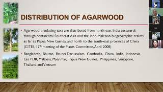 AGARWOOD Webinar Series 2023 Topic 1 Things You Should Know About Agarwood [upl. by Wemolohtrab]