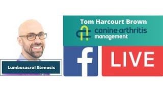 CAM LIVE Lumbosacral disease with Tom Harcourt Brown [upl. by Zsazsa]