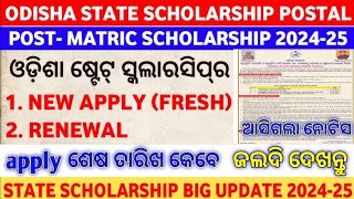 Odisha state scholarship new update  state scholarship new notice  odisha state scholarship apply [upl. by Aramahs]