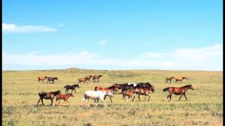 Köroğlu  Kazakistan  İrfan Gürdal [upl. by Eleanore305]