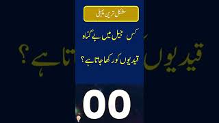 paheliyan in Urdu  Hindi with answer riddles [upl. by Ahsakat193]