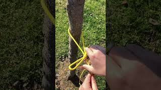 Quick Untie Easy Knot [upl. by Nnaitsirk20]