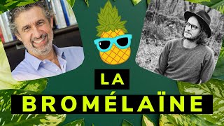 La Bromélaïne  une enzyme extraordinaire  avec Luc Bodin [upl. by Karon]