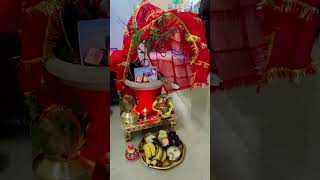 Tulsi vivah 🪴🙏🏻 tulsivivah shortsfeed tulsivivah shorts ekadashi [upl. by Caitlin]