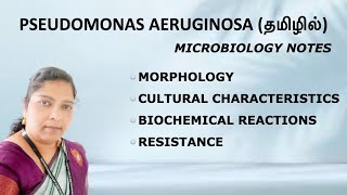 Pseudomonas aeruginosa  Morphology Cultural characteristics Biochemical reactions Resistance [upl. by Rothenberg]