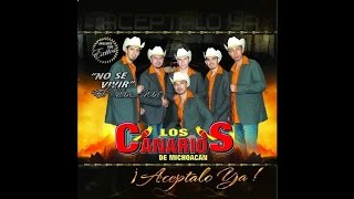 Los Canarios De Michoacan  No Se Vivir Audio [upl. by Laiceps]