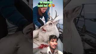 Sea case sefty deer 🦌  viral shorts video [upl. by Farrell991]