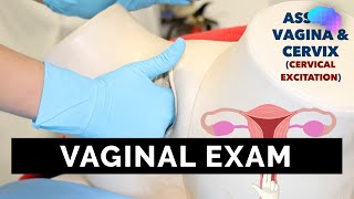 Vaginal Examination PV  OSCE Guide  UKMLA  CPSA [upl. by Lemrahs]