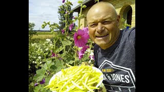 Comment planter vos tomates en serre au 15 avril [upl. by Einnus]