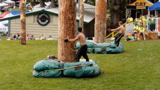 Pole Climbers at the Powell River Loggers Sports July 18th 2016 [upl. by Oinotna553]