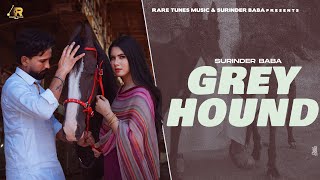 Greyhound  Full Song  Surinder Baba  G Skillz  New Punjabi Song 2024  Latest Punjabi Song 2024 [upl. by Yeldahc540]