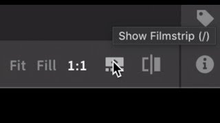 How to use the filmstrip in Photoshop Lightroom [upl. by Fortunna]