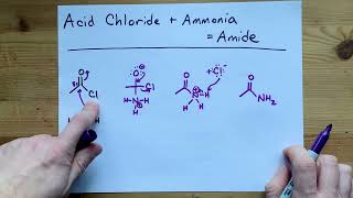 Acid Chloride  Ammonia  Amide Mechanism [upl. by Fanning488]