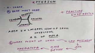 Pterion and its clinical [upl. by Sone]