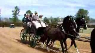 Horse Carriages Aiken Trials [upl. by Pollock791]