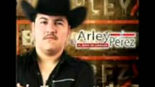 Arley Pérez  La Mafia Dice Corrido Del JT [upl. by Yecniuq]