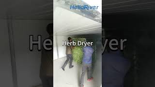 Heat Pump moringa leaf drying machine air dryer machine herb dehydrator hemp leaf flower dryer room [upl. by Llenyar]